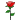 /:rose  